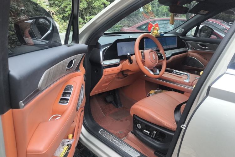 Used Wey Lanshan 2023 Four-Wheel Drive Ultra-Long Range Version
