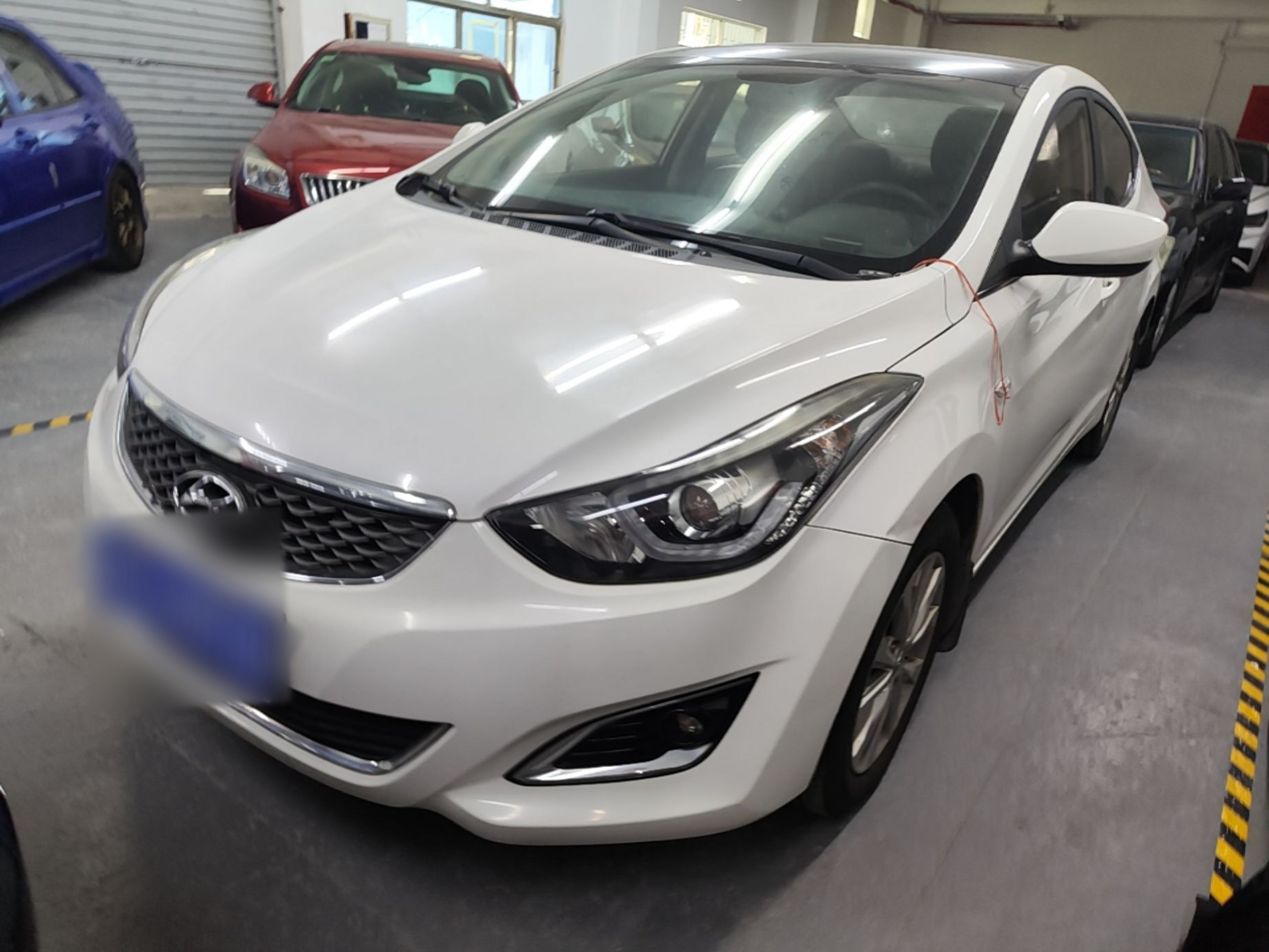 تحت مقدمة السيارة