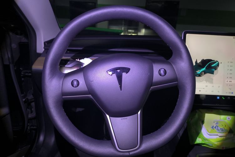 Used Tesla Model 3 2022 Rear-Wheel-Drive Version