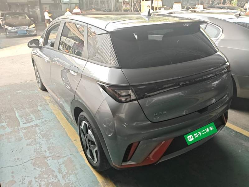 Used BYD Dolphin 2021 405 km Fashion Edition — 4