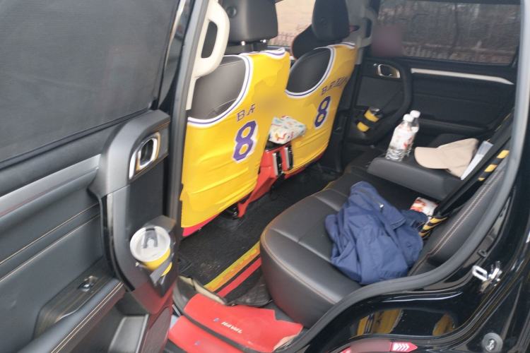 Used Haval DARGO 2022 2.0T DCT 4x4 Xiaotianquan Pursuit Edition Left Rear Seat