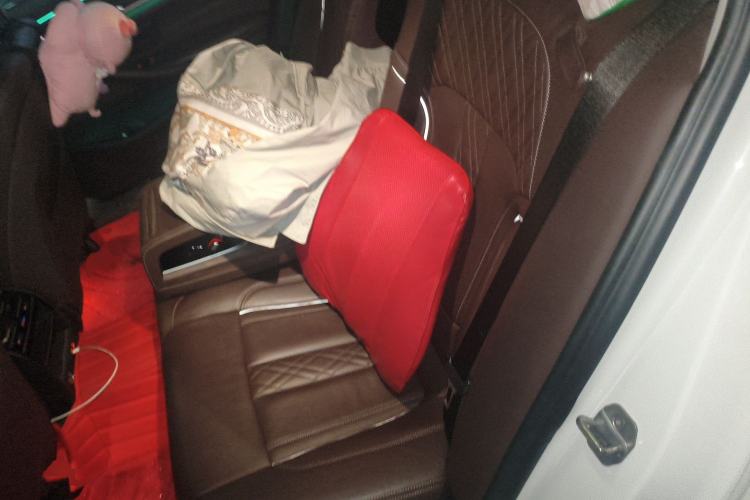 Used BMW 5 Series New Energy 2020 530Le Luxury Package Left Rear Seat