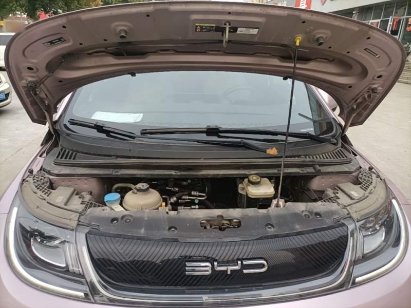 Used BYD Dolphin 2023 420 km Free Version — 19