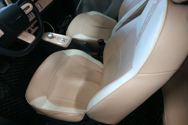 Used Qiyuan Lumin 2023 205km Xiangqin Version
