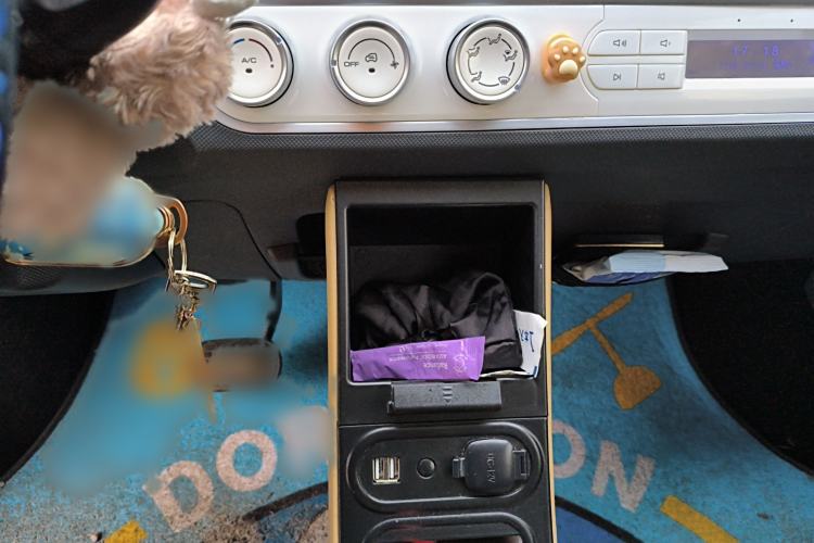 Used Wuling Hongguang MINIEV 2022 Macaron Fashion Model Lithium Iron Phosphate Audio And AC Panel