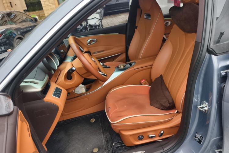 Used ORA Lightning Cat 2022 555 km Luxury Edition Left Front Seat