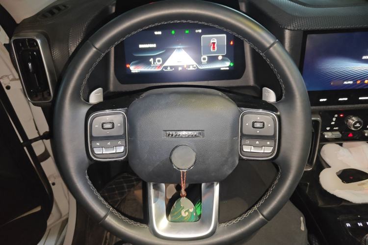 Used Haval DARGO 2021 2.0T DCT 4x4 Chinese Rural Dog Edition
