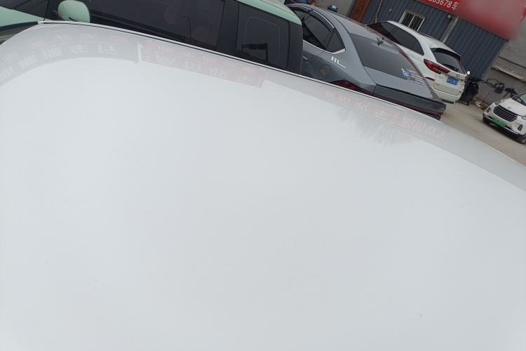 Used Qiyuan Lumin 2023 205km Xiangqin Version