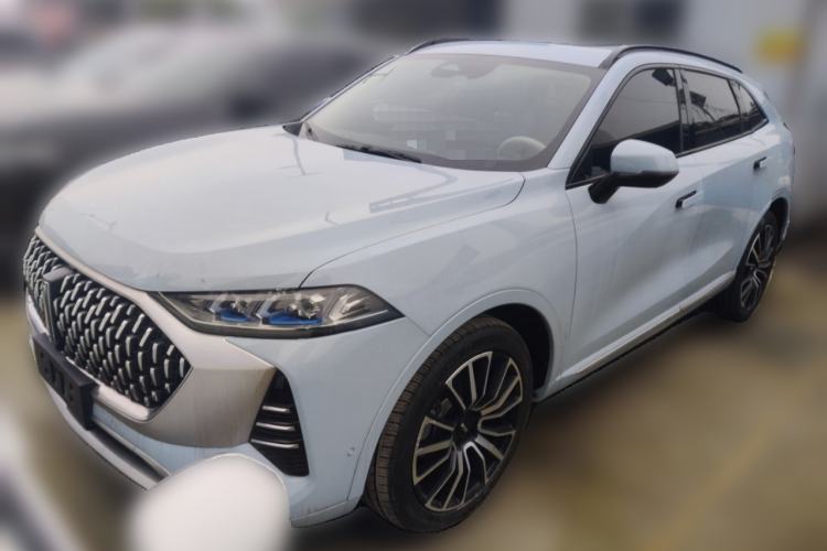 Used Wey Mocha 2021 2.0T Four-Wheel Drive Premium Edition