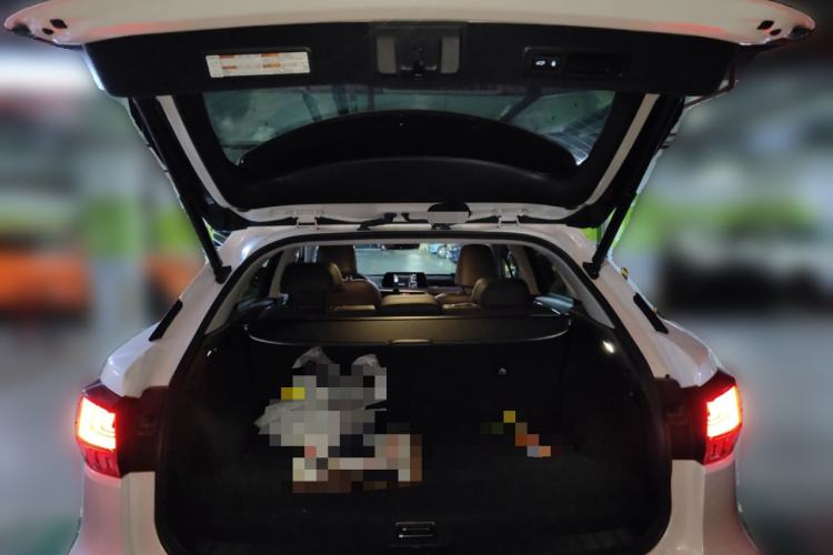 Used Lexus RX 2020 Revised Version 300 Two-Wheel Drive Comfort Edition