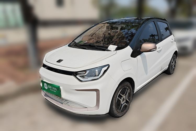 Used SOL E10X 2022 Flower Fairy Design Four-Leaf Clover