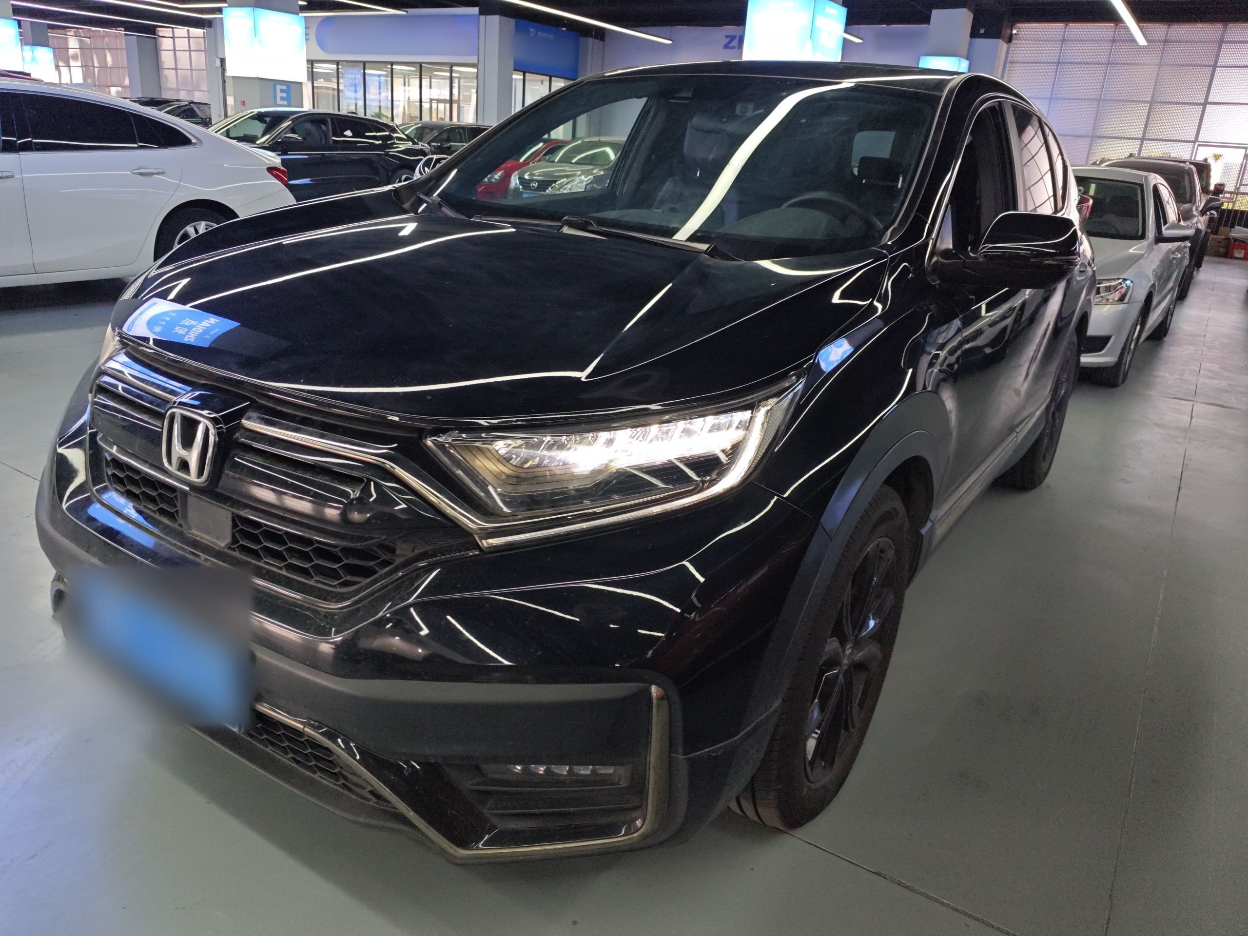 Parte inferior delantera