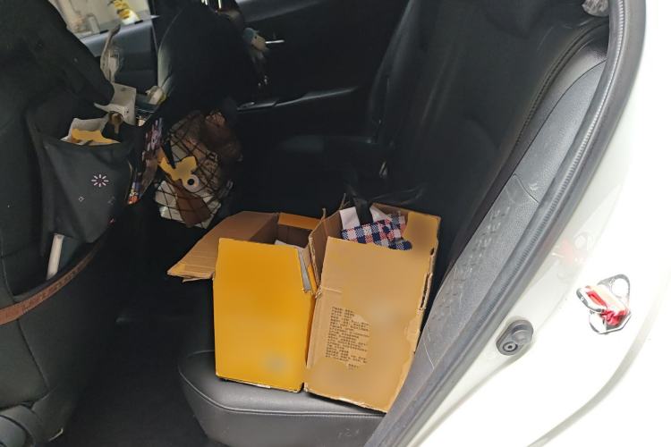 Used Toyota IZOA 2021 Dual-Motor 2.0L Yixiang Edition
