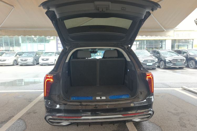 Used Hongqi E-HS9 2021 460 km Range Flagship Edition Six-Seater
