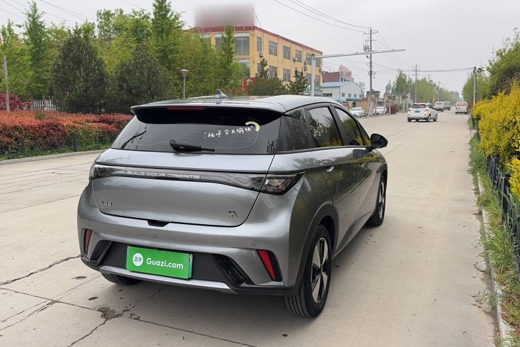 Used BYD Dolphin 2023 420 km Free Version Rear Right 45 Deg