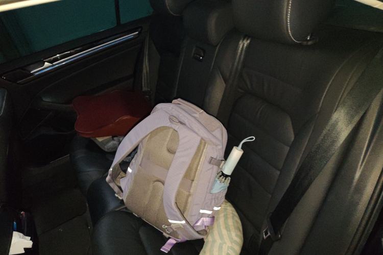 Used Volkswagen Phideon 2018 Revised Version 380TSI Two-Wheel Drive Business Edition Left Rear Seat