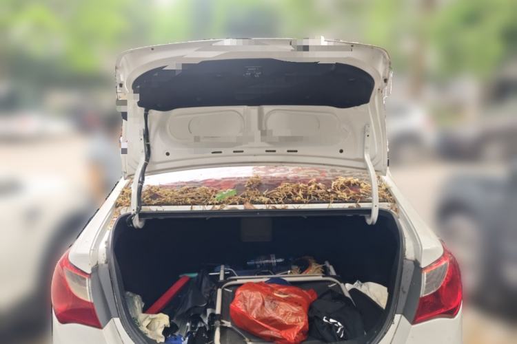 Used Hyundai Celesta 2011 1.6L Manual Luxury Model Trunk