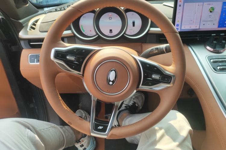Used ORA Lightning Cat 2022 555 km Luxury Edition Steering Wheel
