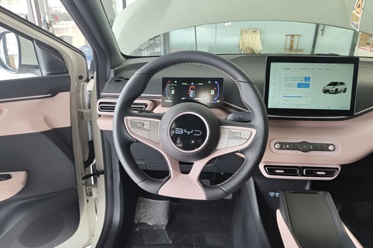 Used BYD Seagull 2025 Smart Drive Version 305 km Freedom Edition