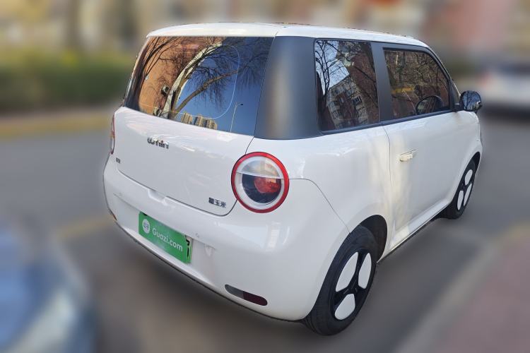 Used Qiyuan Lumin 2023 205km Xiangqin Version
