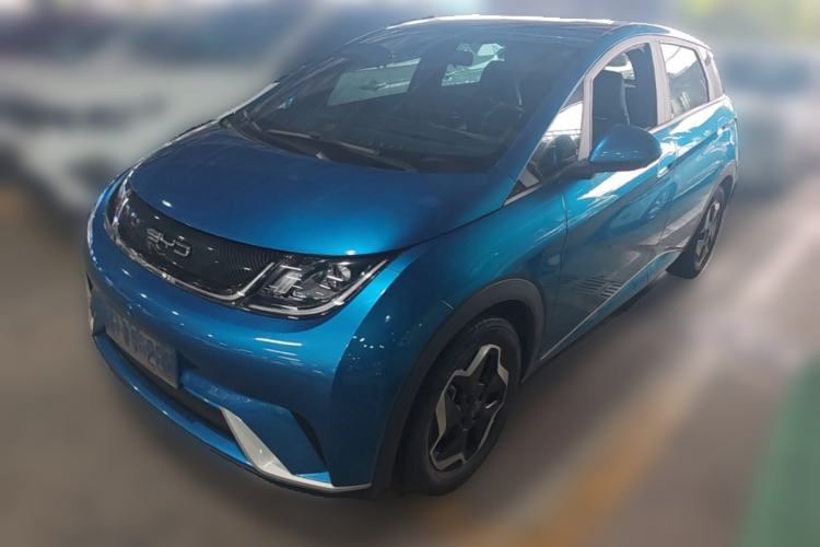 Used BYD Dolphin 2021 405 km Free Version
