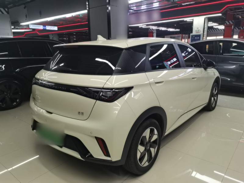 Used BYD Dolphin 2025 420km Free Edition — 6