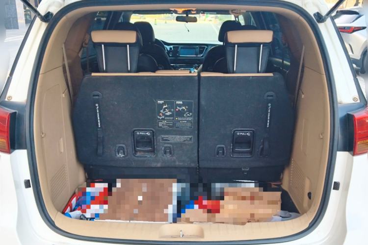 Used Kia Carnival 2015 2.2T Luxury Edition China IV