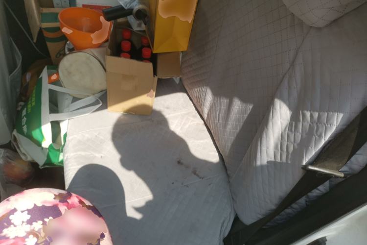 Used JMEV E200N 2020 E200N Fashion Edition (302 KM) Left Rear Seat