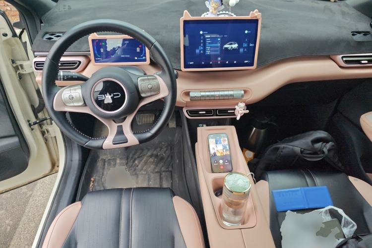 Used BYD Seagull 2025 305 km Free Version