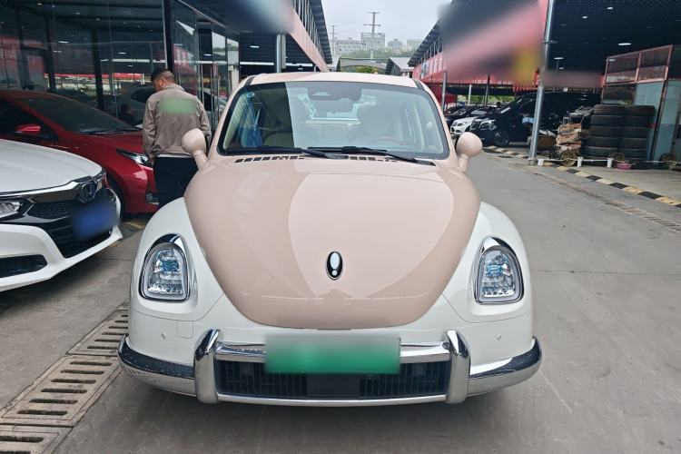 Used ORA Ballet Cat 2023 401 km Luxury Version Front