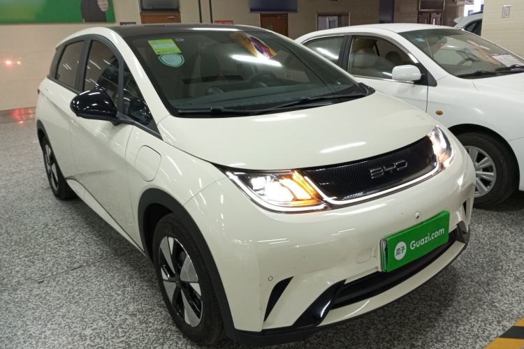 Used BYD Dolphin 2023 420 km Fashion Edition
