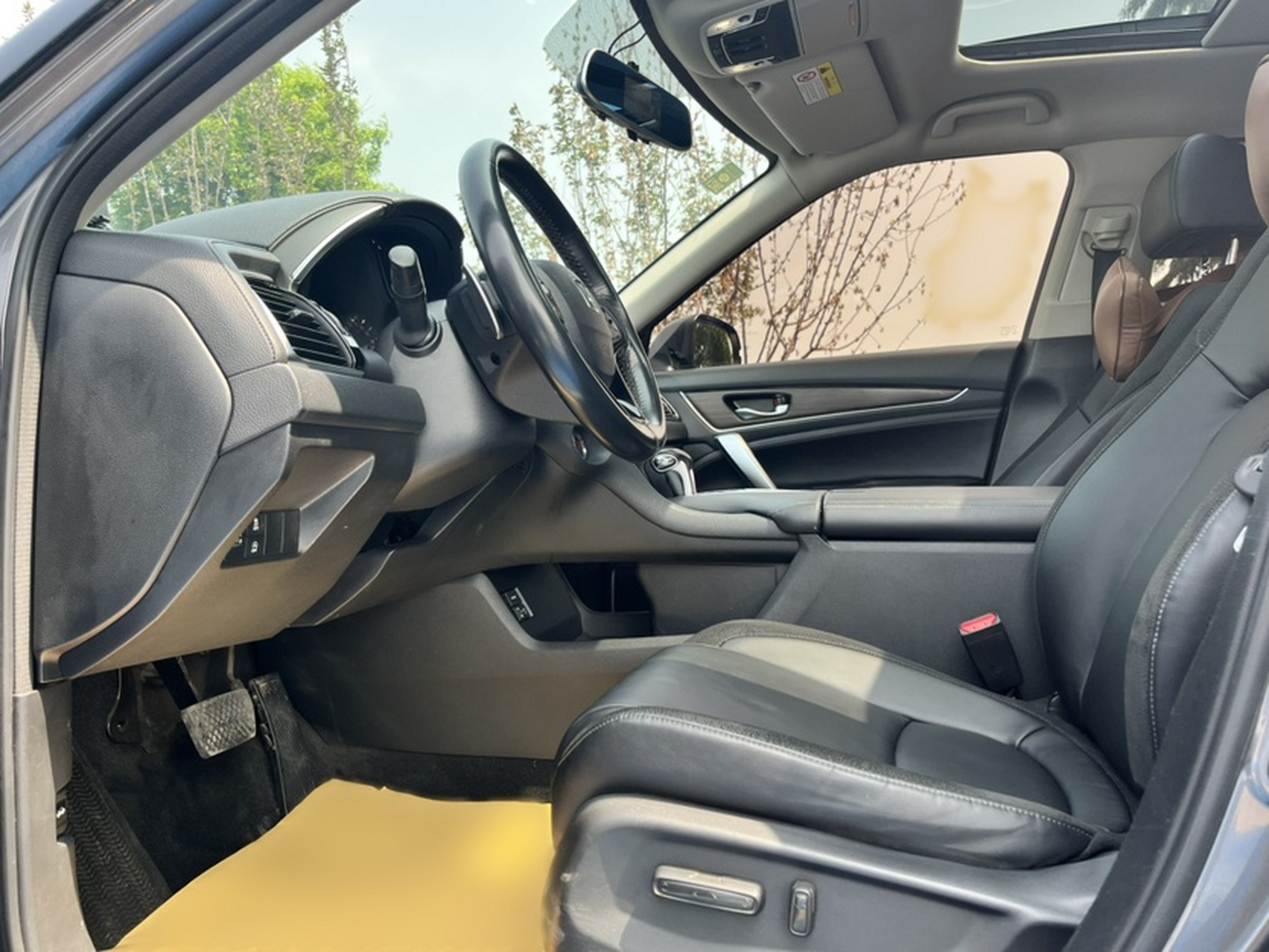 Interior delantero