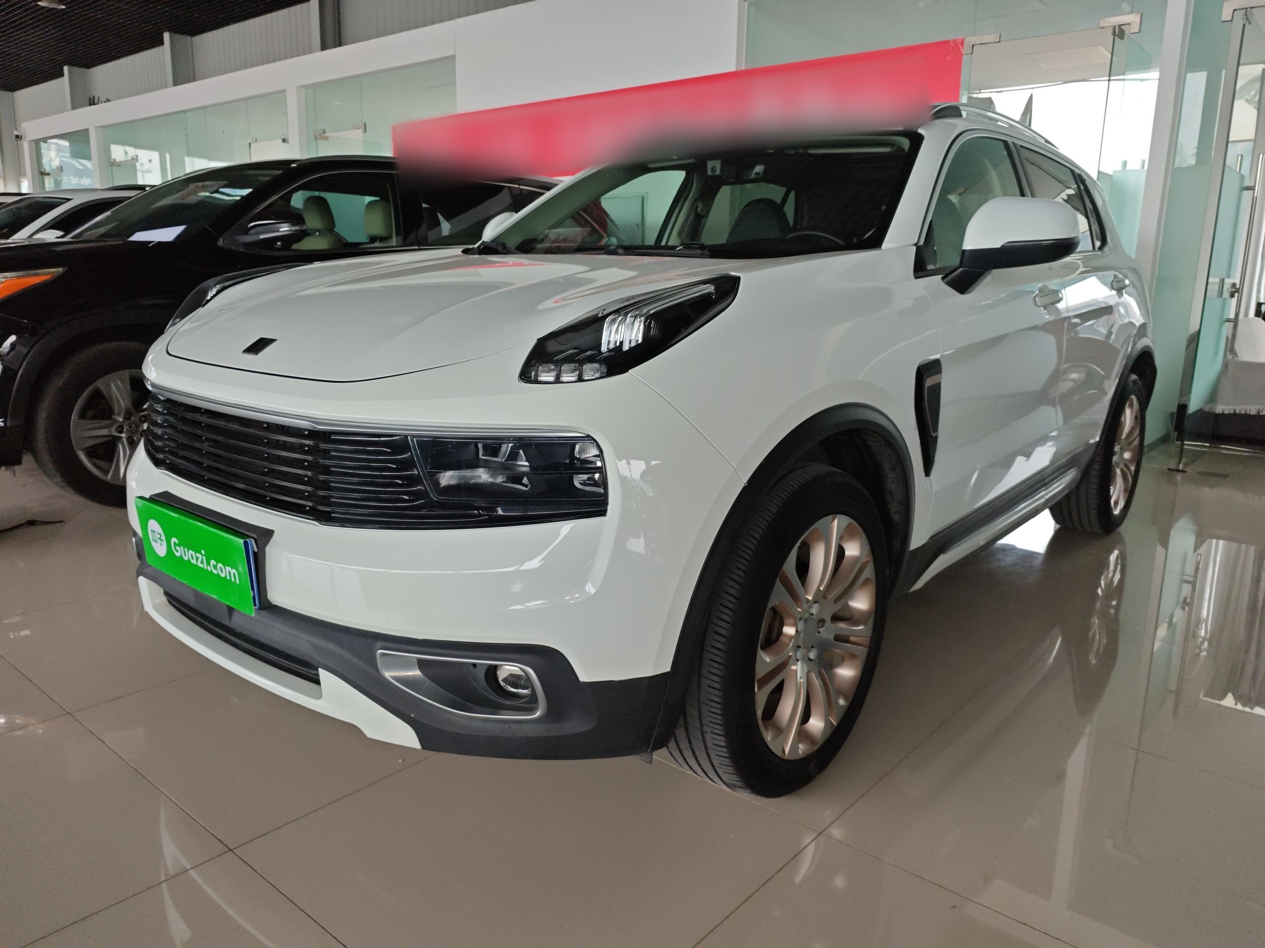 Parte inferior delantera