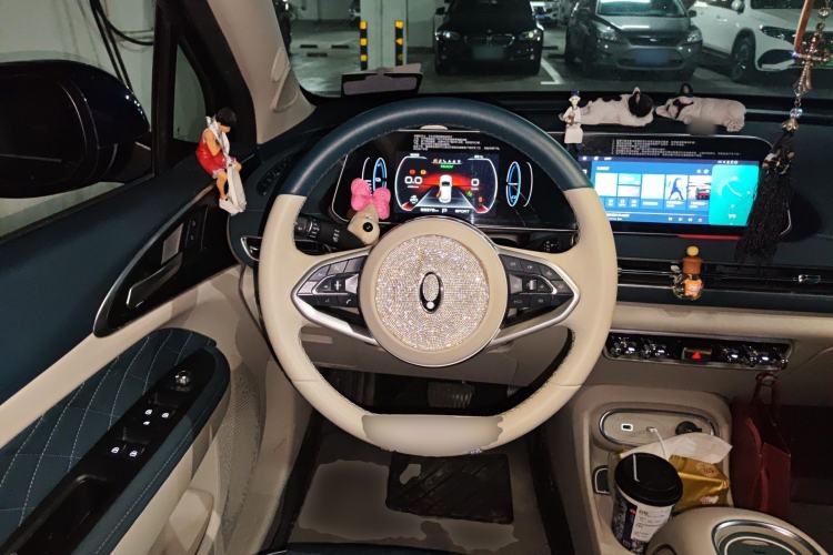 Used ORA Good Cat 2023 401 km Standard Range Luxury Version Lithium Iron Phosphate
