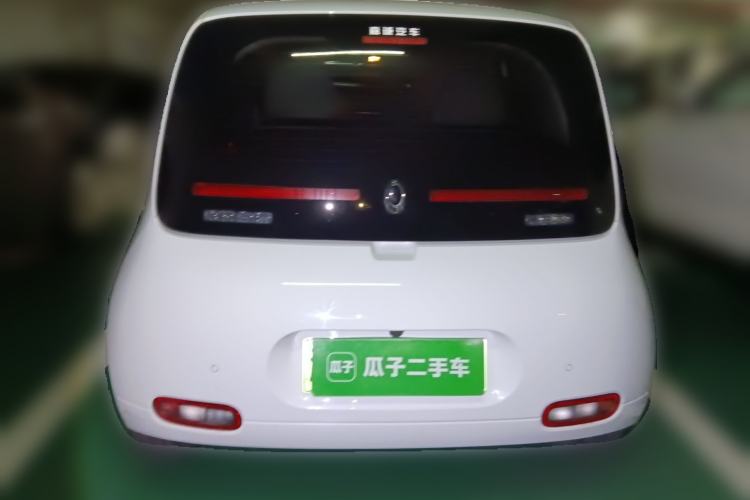 Used ORA White Cat 2020 305 km Luxury Version

