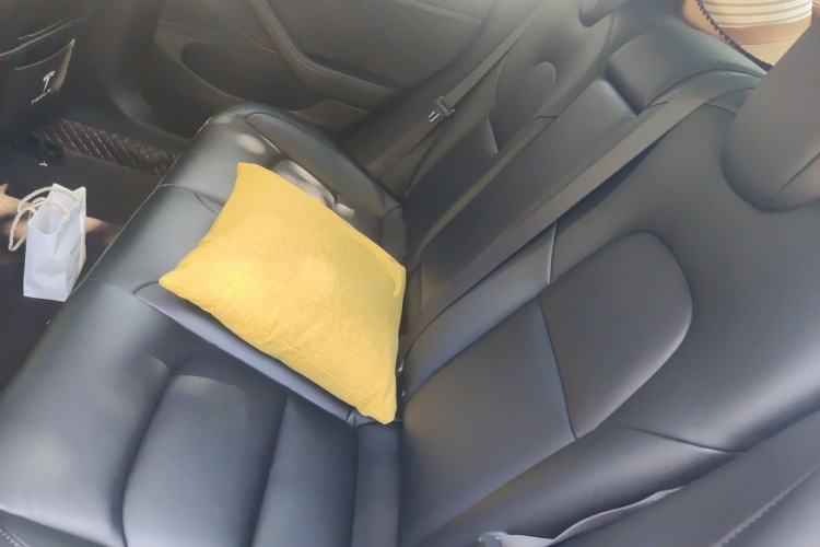 Used Tesla Model 3 2020 Standard Range Rear-Wheel Drive Upgraded Version Left Rear Seat