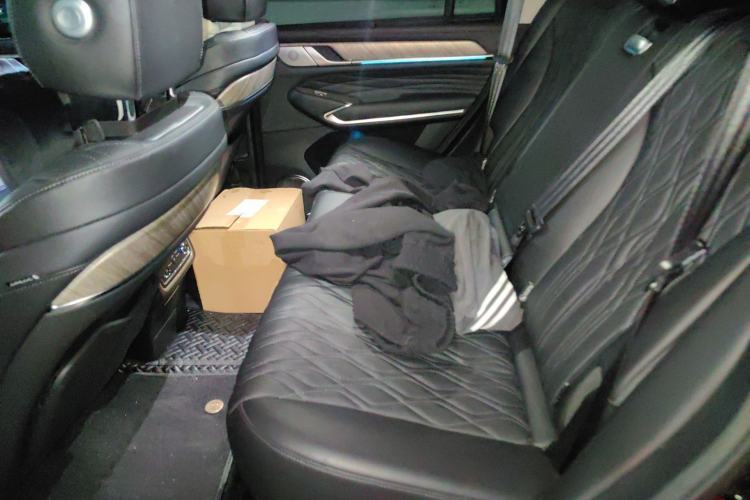 Used Tank 500 New Energy 2024 Hi4-T Left Rear Seat