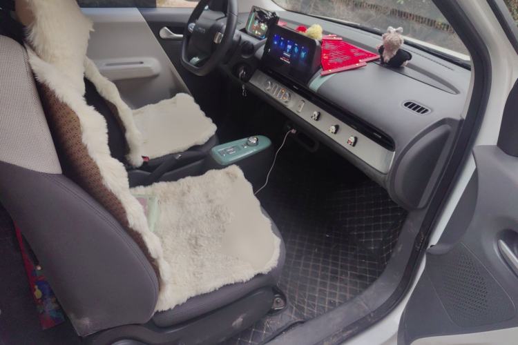 Used Qiyuan Lumin 2023 205km Xiangqin Version