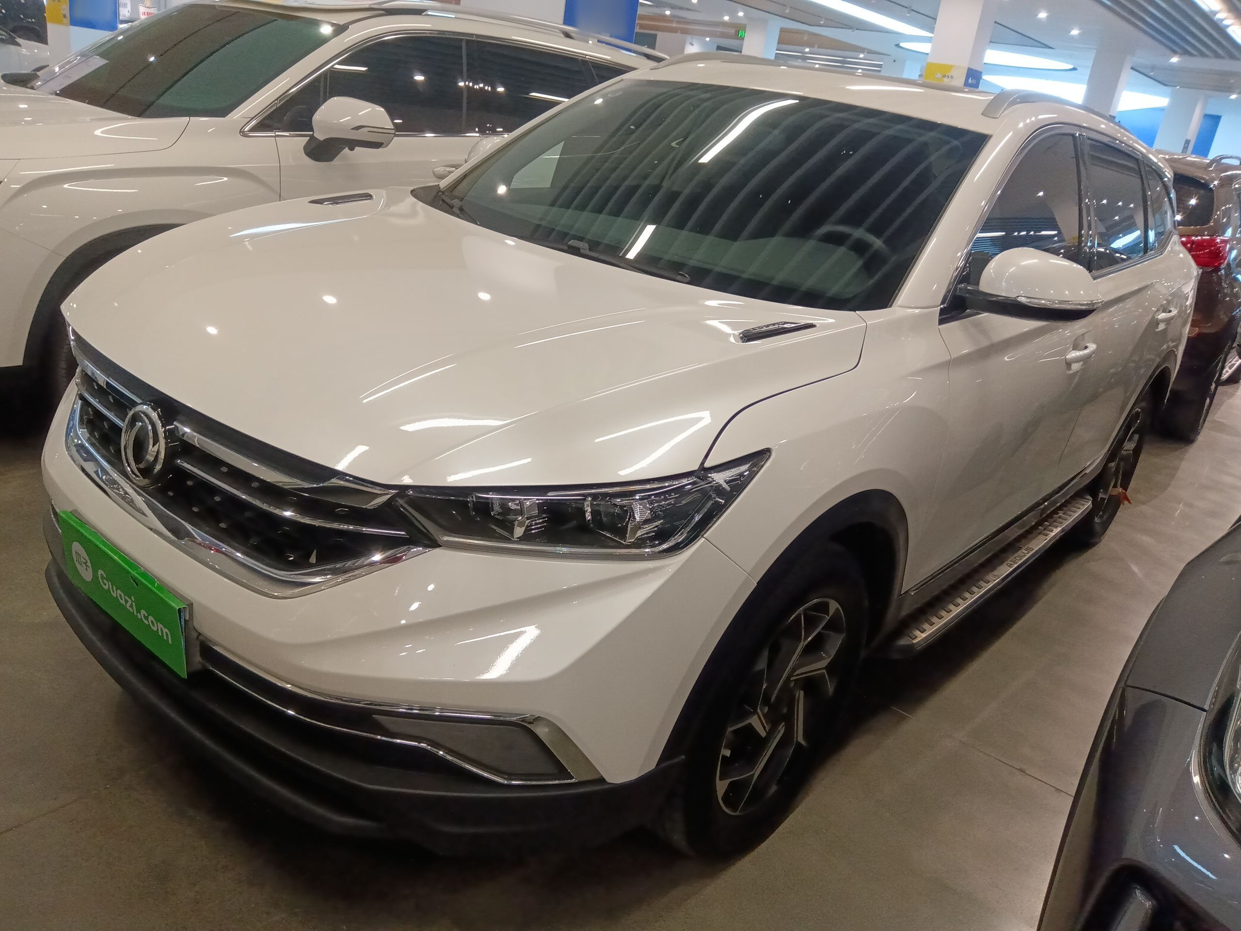 Parte inferior delantera