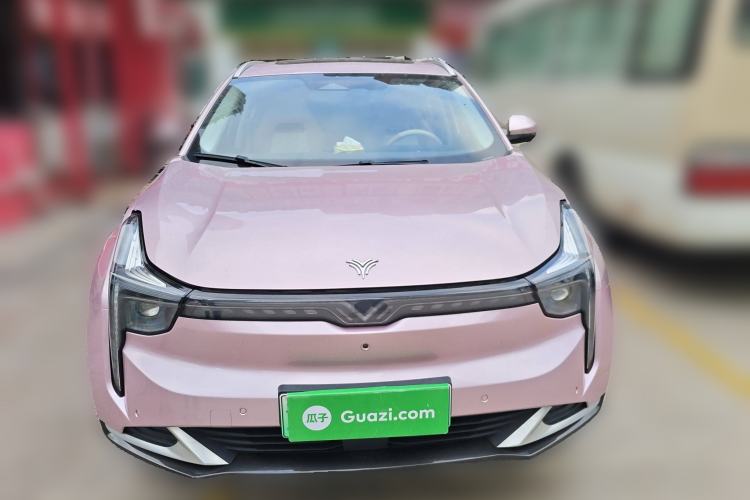 Used NETA U 2022 NETA U-Ⅱ 500 Lithium Iron Phosphate