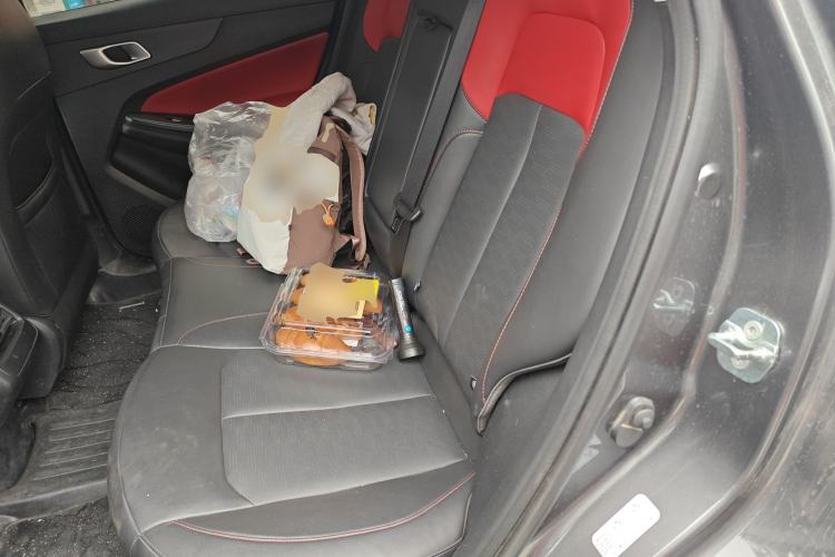 Used CHANGAN CS55PLUS 2021 Blue Whale Edition 1.5T DCT Prestige Model Left Rear Seat