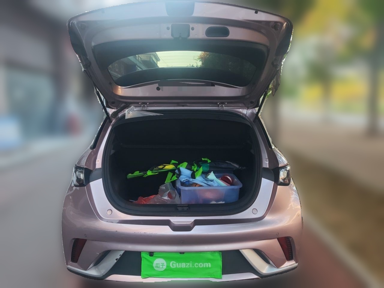 BYD Dolphin 2021 405 km Free Version — снимка 19