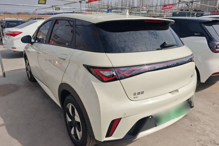 Used BYD Dolphin 2024 Honor Edition 420km Fashion Version