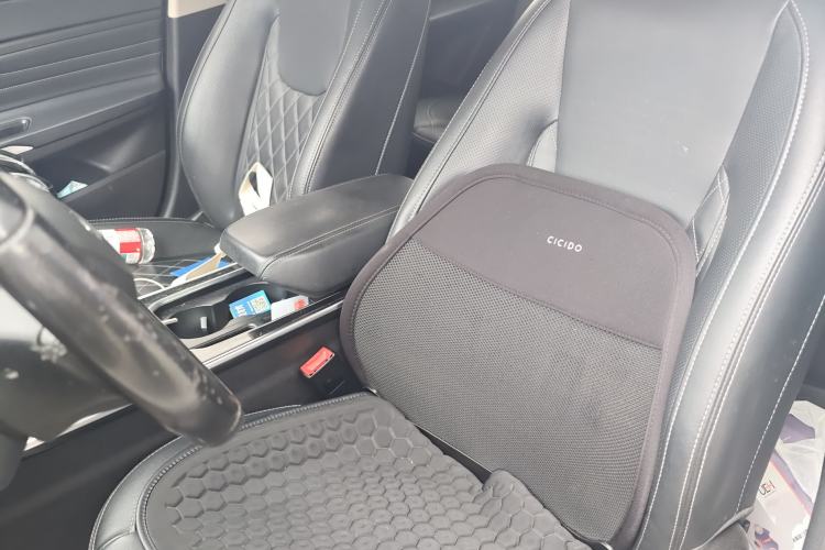 Used Chery Arrizo GX 2019 1.5T Manual New Color Version China VI Standard Left Front Seat