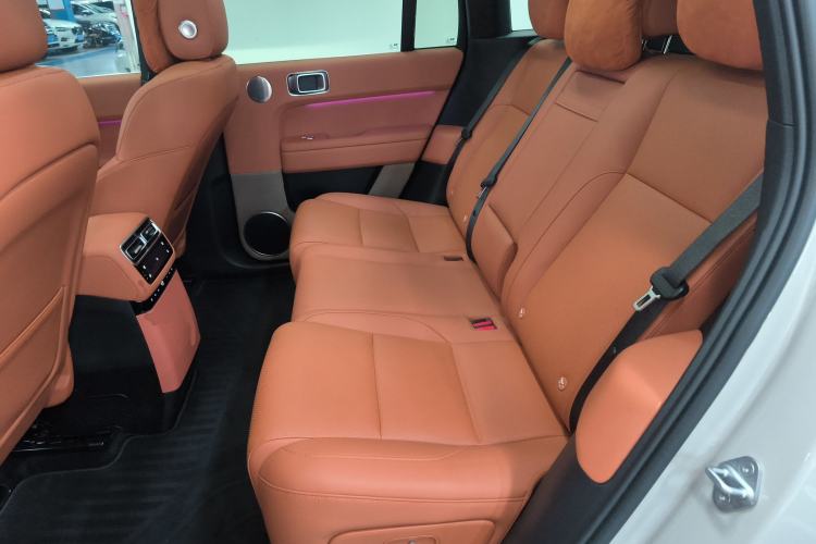 Used Li Auto L6 2024 Max Left Rear Seat