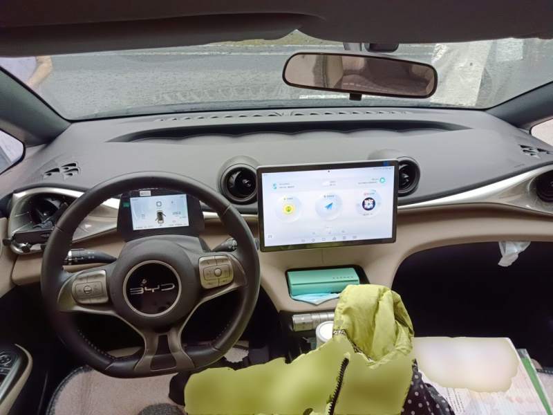 Used BYD Dolphin 2023 420 km Free Version — 10