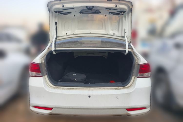 Used HORKI 300E 2017 Standard Model