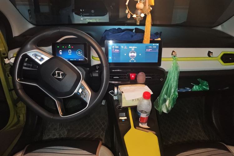 Used SOL E10X 2022 Flower Fairy Design Four-Leaf Clover