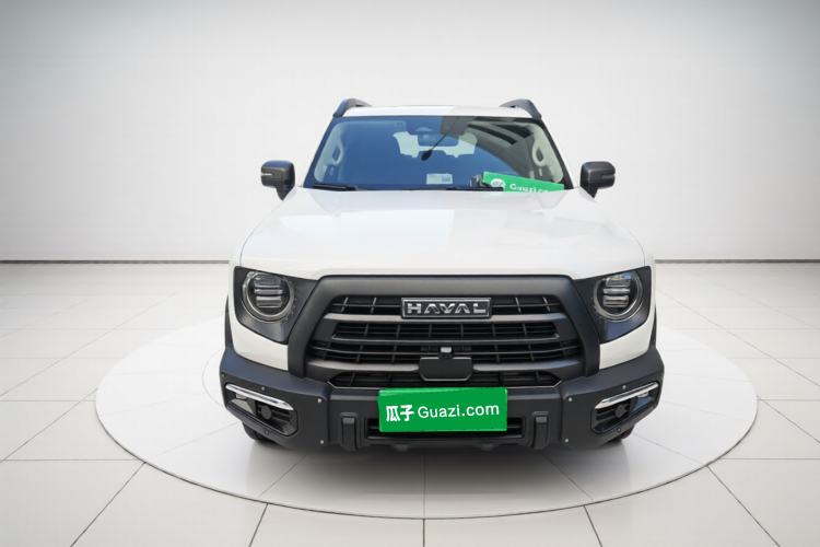 Used Haval DARGO 2024 2.0T DCT Chinese Rural Dog Edition