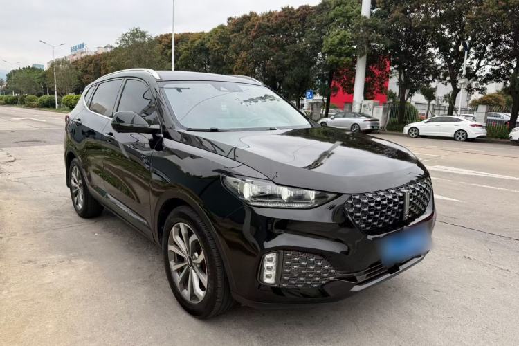 Used Wey VV6 2020 2.0T Two-Wheel Drive Smart Protection+